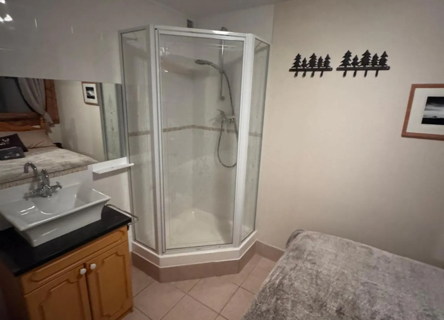 Courchevel Ski In/Ski Out Apartment